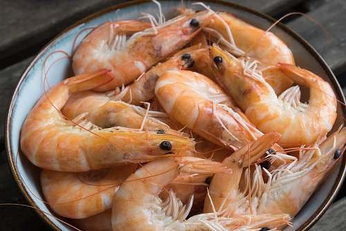 sea life raw shrimps in bowl shrimp